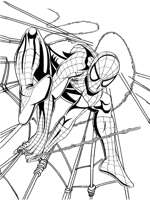 Homem-Aranha Tecendo