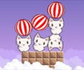Cat Cat Watermelon - Equilibrando gatos