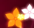 Flower Reaction - Reação das flores