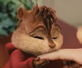 Alvin e os esquilos 2